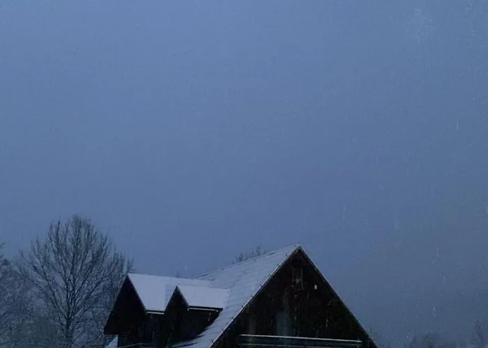 U Weroniki W Stawiszy Apartment Stawisza